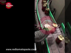 ক্যান ট্রিপল কনসেন্ট্রেটেড টমেটো পেস্ট 425 গ্রাম হার্ড ওপেন ক্যাপ প্রতি টিন