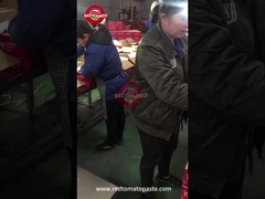 ক্যান টমেটো পেস্ট লাইন মান নিয়ন্ত্রণ