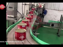 রিটোমেট নিজস্ব ব্র্যান্ড ২200 গ্রাম টমেটো পেস্ট