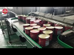 মাকাও টমেটো পেস্ট