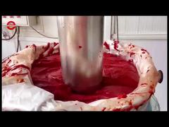 টমেটো প্যাস্ট